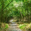 师澈