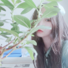 郑颖俊