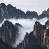 王新华